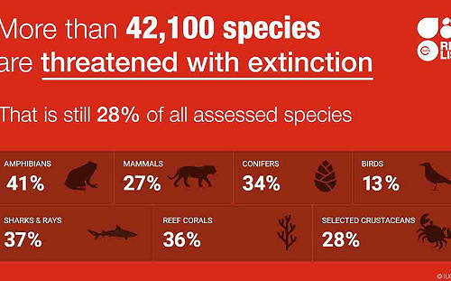 這次是人類害的! 第六次大滅絕來了 研究指全球野生動物嚴重減少