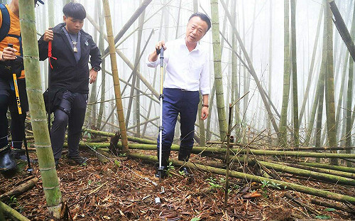 嘉縣梅山遊客誤踩山豬吊 所幸厚底登山鞋保護