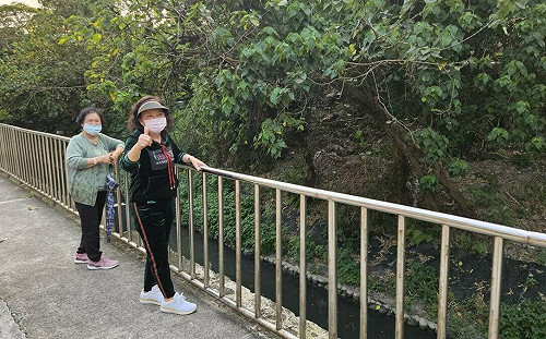 從「心」發現新北瓦磘溝 蛙聲蟲鳴鳥叫蝴蝶飛舞引童趣 