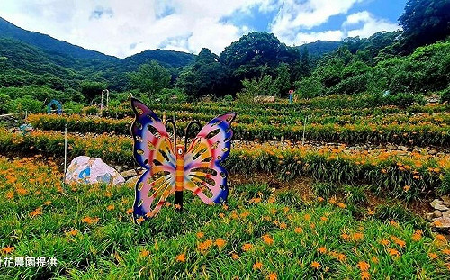 搭巴士上陽明山賞花！台灣好行「北投–竹子湖線」下殺2.6折