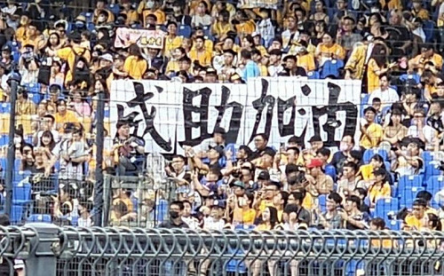 威助就是我的動力！兄弟阪神日林太太出動