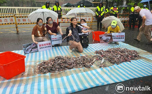 拖網漁業破壞海洋環境 動保團體「倒魚」陳情