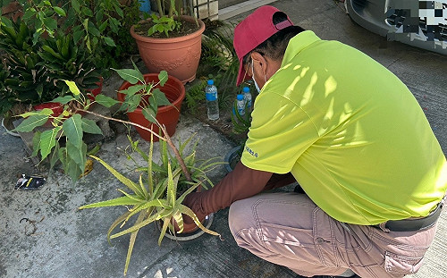 台南登革熱確診者三民區訪友  高市府啟動緊急防治防火牆