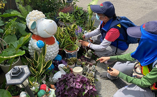 高市新增1例本土登革熱確診 同為台南社區傳播鏈衍生