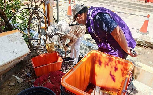杜絕登革熱 嘉縣衛生局推「巡、倒、清、刷」防蚊口訣