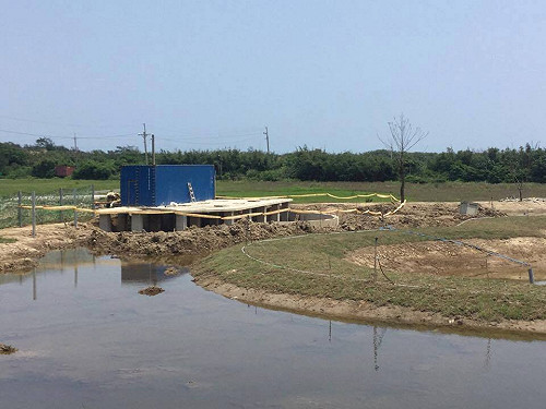 生態工法不再生態  環團譴責清水濕地工程不當