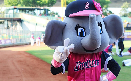 首度職棒動漫合體  兄弟象動漫日本周登場
