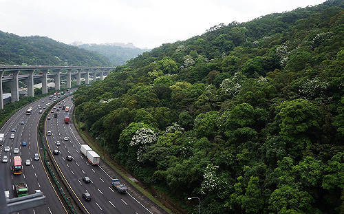 連假第一天！交通壅塞路段資訊看這邊
