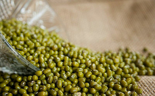 綠豆真的是「嘉義人」？專家揭身世