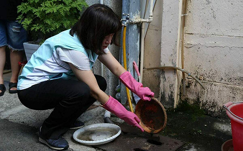 防治登革熱 嘉市祭出主動通報獎勵金500元禮券