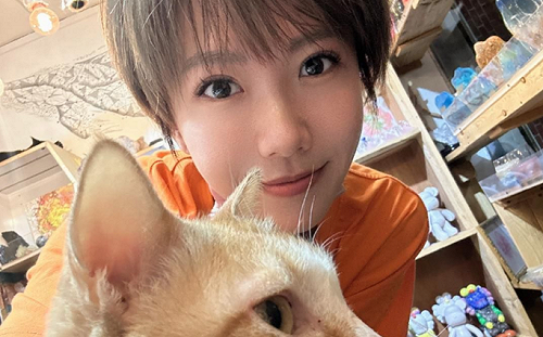 遭酸蹭MeToo流量「跟陳建州一樣噁心」 大牙正面回擊網力挺