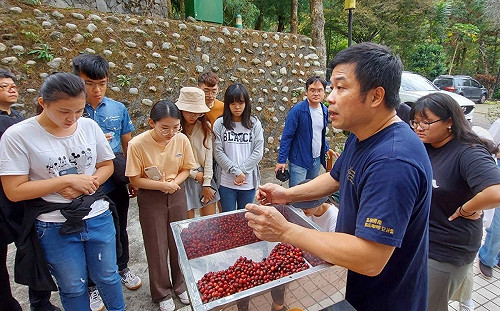 父親節「爸氣」提案！中市文化局推親子科普DIY、復古市集