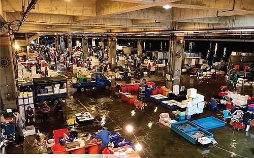 徐巧芯諷前鎮漁港81億「要撈哥吉拉？」許淑華轟無知！基本功課都沒做