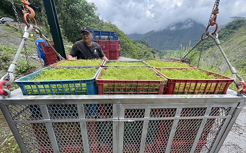 明霸克露橋鋼便橋斷 農民快急哭啟用流籠運菜