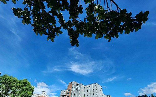 台北大學「一學期減為16周」！教育部准了  暨南大學也將改制