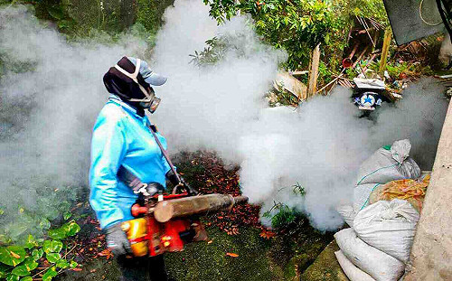 嘉縣登革熱累計5例 啟動3波化學清消