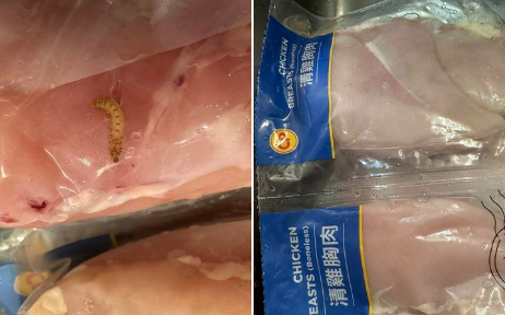 好市多又出包？雞胸肉竟見小白蟲！ 