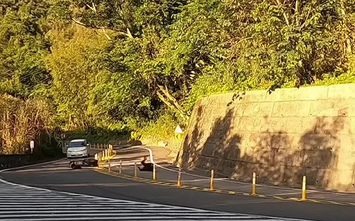 山道猴子是真的！「台七乙飆車片」曝光