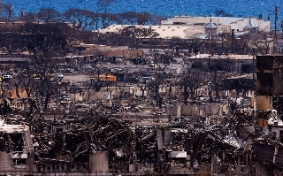 夏威夷大火首批罹難者曝光 未來２大族群恐為多數死亡人口