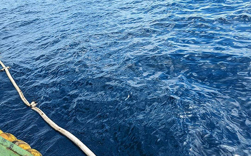 天使輪船東沉後不理！海委會5次重罰累計540萬元