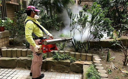 登革熱噴藥害家犬中毒？  高市衛生局：20 年來皆如此執行