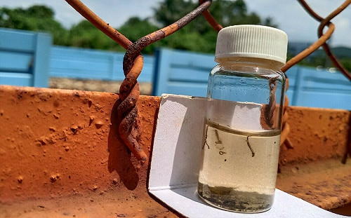 高雄登革熱 7   本土疫情升溫確診數累計破百