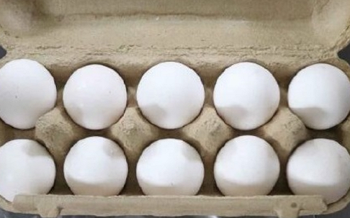 千萬顆逾期蛋銷毀「環境大污染」？農業部駁：轉製肥料再利用無污染之虞