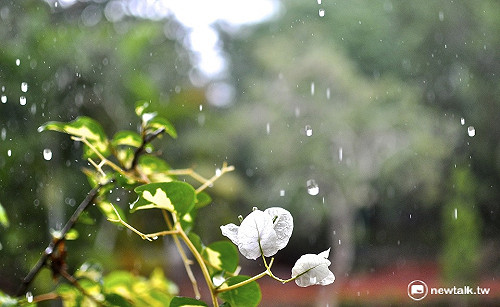 梅雨季正式報到！鋒面伴隨西南氣流雨勢驚人
