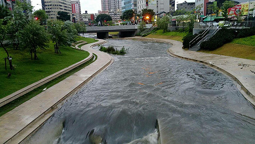 這就是水環境!  大水川堂過排洪功能強 柳川結構無損