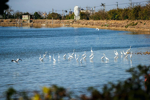 桃園美景一把捉 打卡拍照有獎金拿