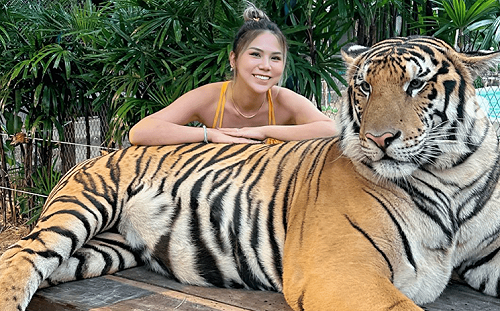 蕾菈飛泰國旅遊找老虎合影！「驚嚇照」曝光吸2.4萬網朝聖