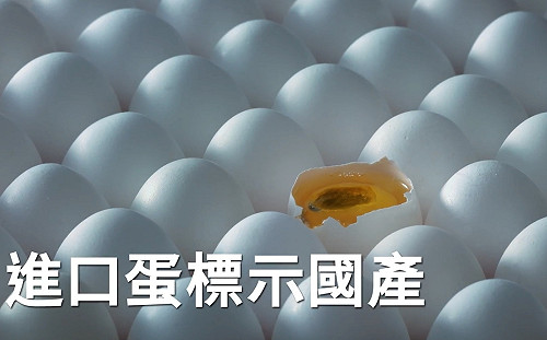 只辦民不辦官？ 侯友宜競辦批：進口蛋爭議重重黑幕官官相護