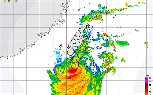 小犬今早快閃登陸鵝鑾鼻5分鐘！專家讚「聰明」網笑：閃過「打狗」傷害最小