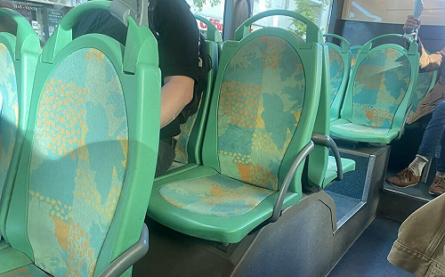 巴黎床蝨危機延燒傷形象 政府開緊急會議籲勿恐慌