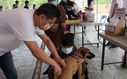 竹縣動保所毛齊來打600劑狂犬病疫苗免費打
