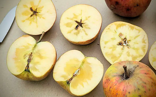 農場發文揭真相！沒有「蜜蘋果」這品種