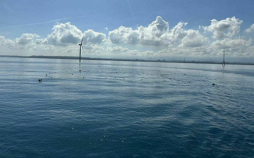 資訊更透明！環境部：氣候資訊公開平台上線