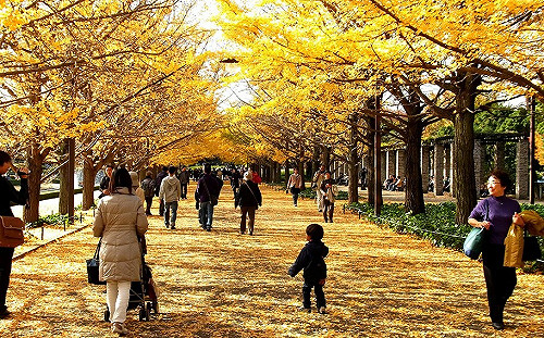 前進日本新攻略！ITF旅展東京攤位推360°VR 一秒就可出國