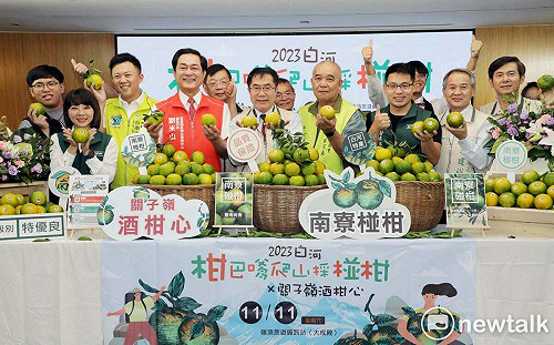 白河柑巴嗲x關子嶺酒柑心活動登場  黃偉哲邀採椪柑吃山產泡溫泉