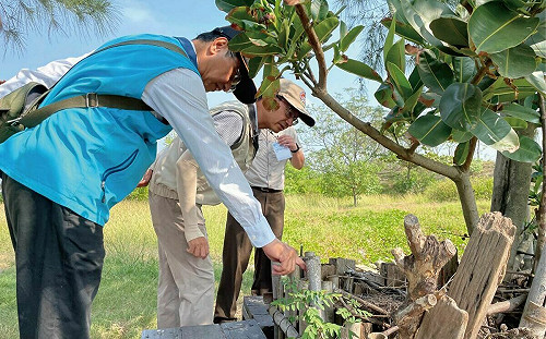 登革熱疫情拉警報！創近8年新高  衛福部召開防治會議