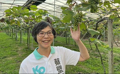 柯文哲擬上週與副手拍照卻取消 蔡壁如曝2跡象「火車看起來開走了」 