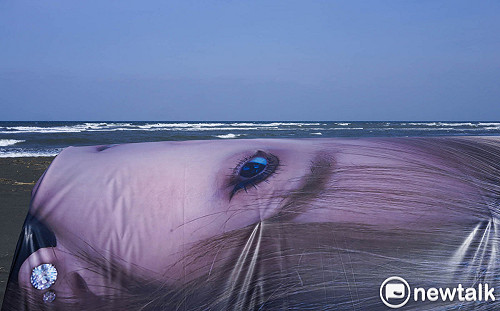 良影一二》競選帆布蓋魚寮 獨特的超現實地景 造就另類選民服務