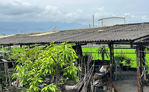 石綿屋頂補助再升級！環境部擴大補助範圍  畜牧場也受惠