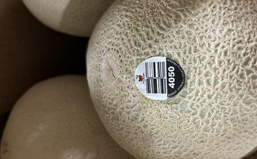 加拿大、美國食安拉警報！哈密瓜染沙門桿菌已造成2人死亡