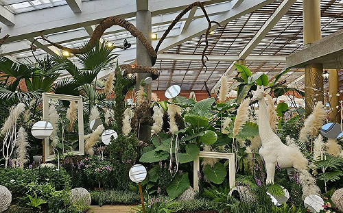 20萬盆菊花士林官邸賞不完！還有文創市集、實境解謎別錯過