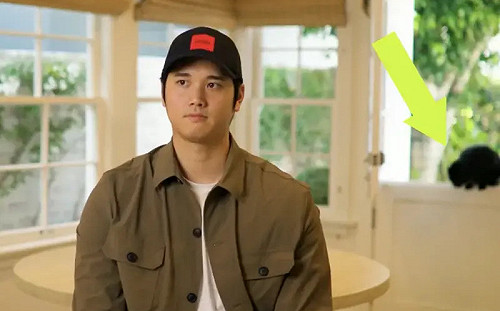 10年7億美元北美運動史上最高薪合約！ 大谷翔平加盟洛杉磯道奇隊