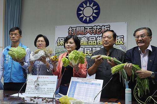 防菜價崩盤   藍委：總量控制、打破菜價天花板