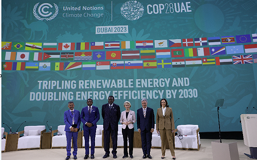 氣候元首峰會次日 4友邦為台灣接力發聲