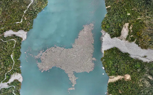 奇景空拍照曝光！霧社水庫驚見「超巨海獅」