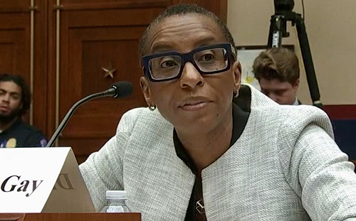 哈佛、賓州大學和MIT校長因未禁種族滅絕言論挨轟 輝瑞CEO罵「可恥」